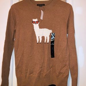 Brown Banana Republic sweater